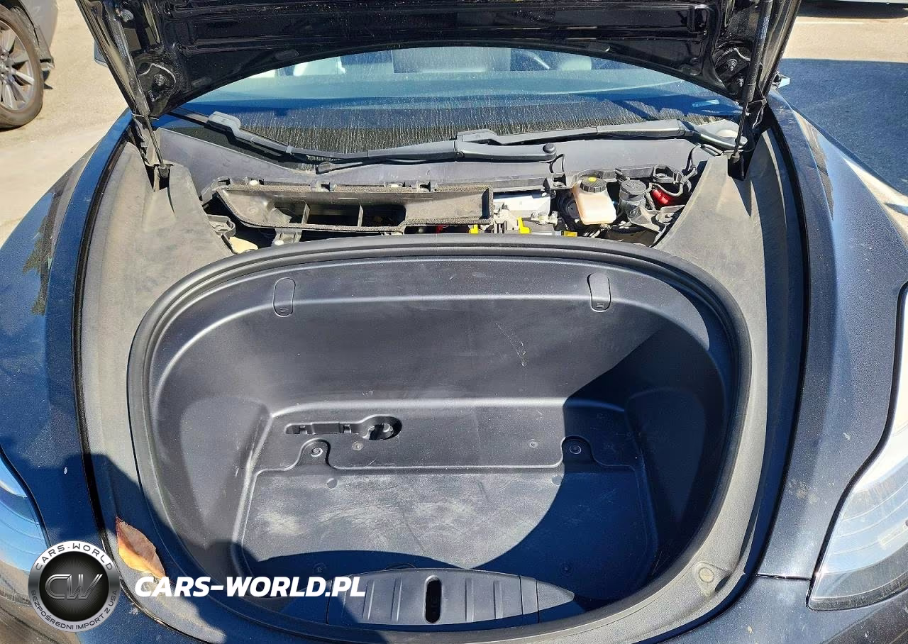 2019 Tesla Model 3 VIN:5YJ3E1EA8KF415772 - 11