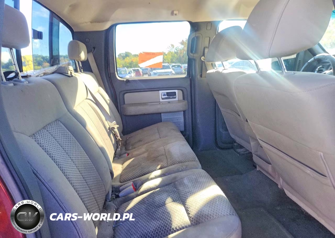 2009 Ford F150 Supercrew VIN:1FTPW14V79FA64314 - 10