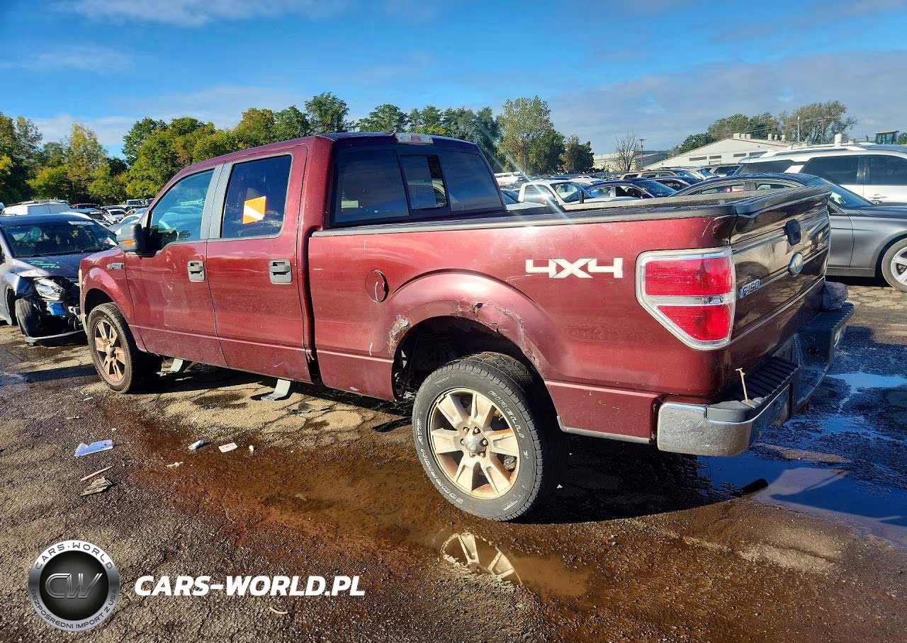 2009 Ford F150 Supercrew VIN:1FTPW14V79FA64314 - 2