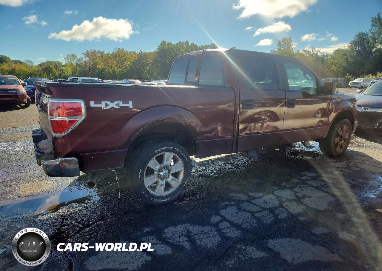 2009 Ford F150 Supercrew VIN:1FTPW14V79FA64314 - 3