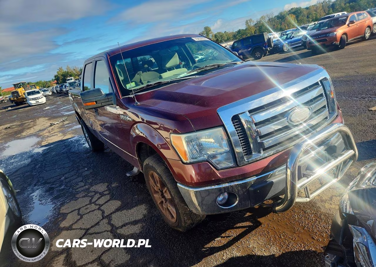 2009 Ford F150 Supercrew VIN:1FTPW14V79FA64314 - 4
