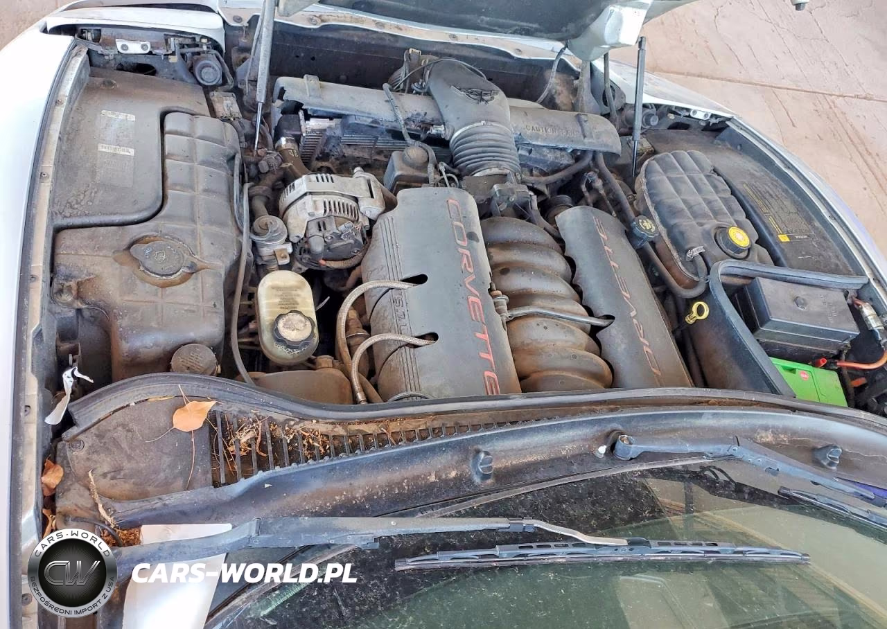 1997 Chevrolet Corvette VIN:1G1YY22G1V5106915 - 11