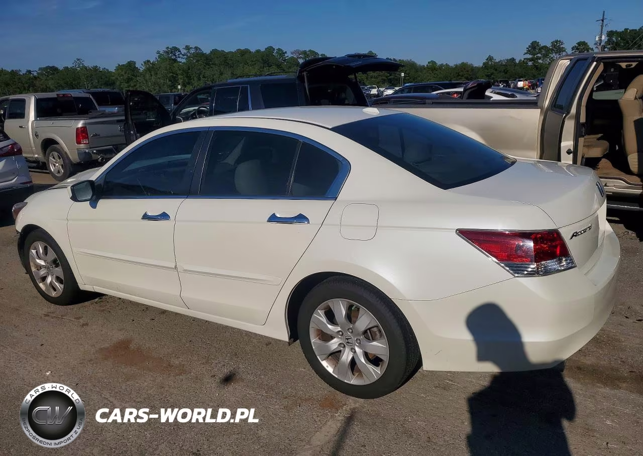 2009 Honda Accord Exl VIN:1HGCP36869A043113 - 2