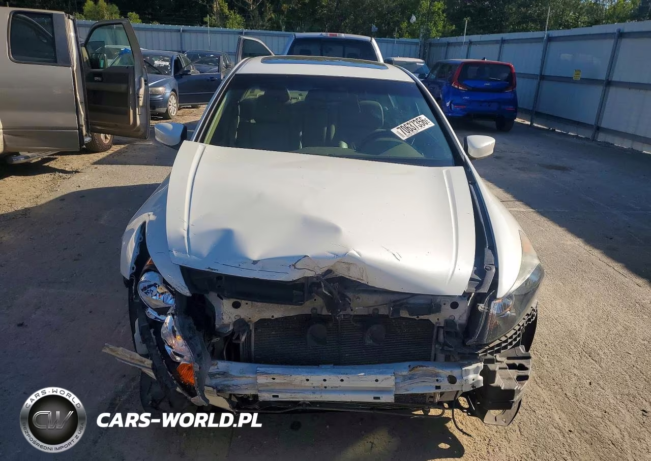 2009 Honda Accord Exl VIN:1HGCP36869A043113 - 5