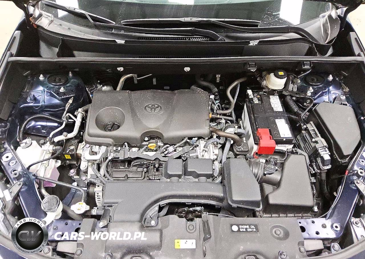 2025 Toyota Rav4 Xle VIN:2T3W1RFV0SW433699 - 11