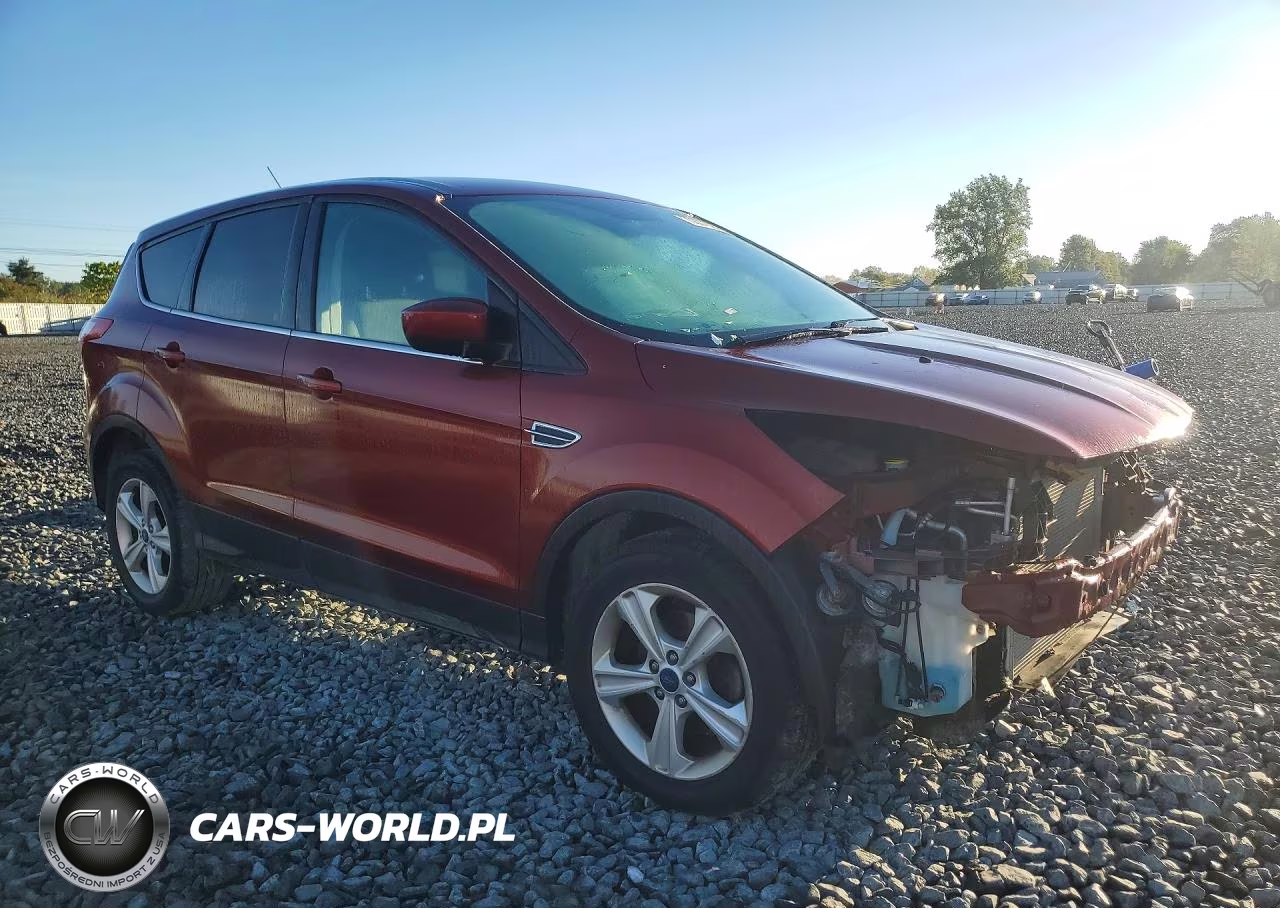 2016 Ford Escape Se VIN:1FMCU0G70GUC54519 - 4