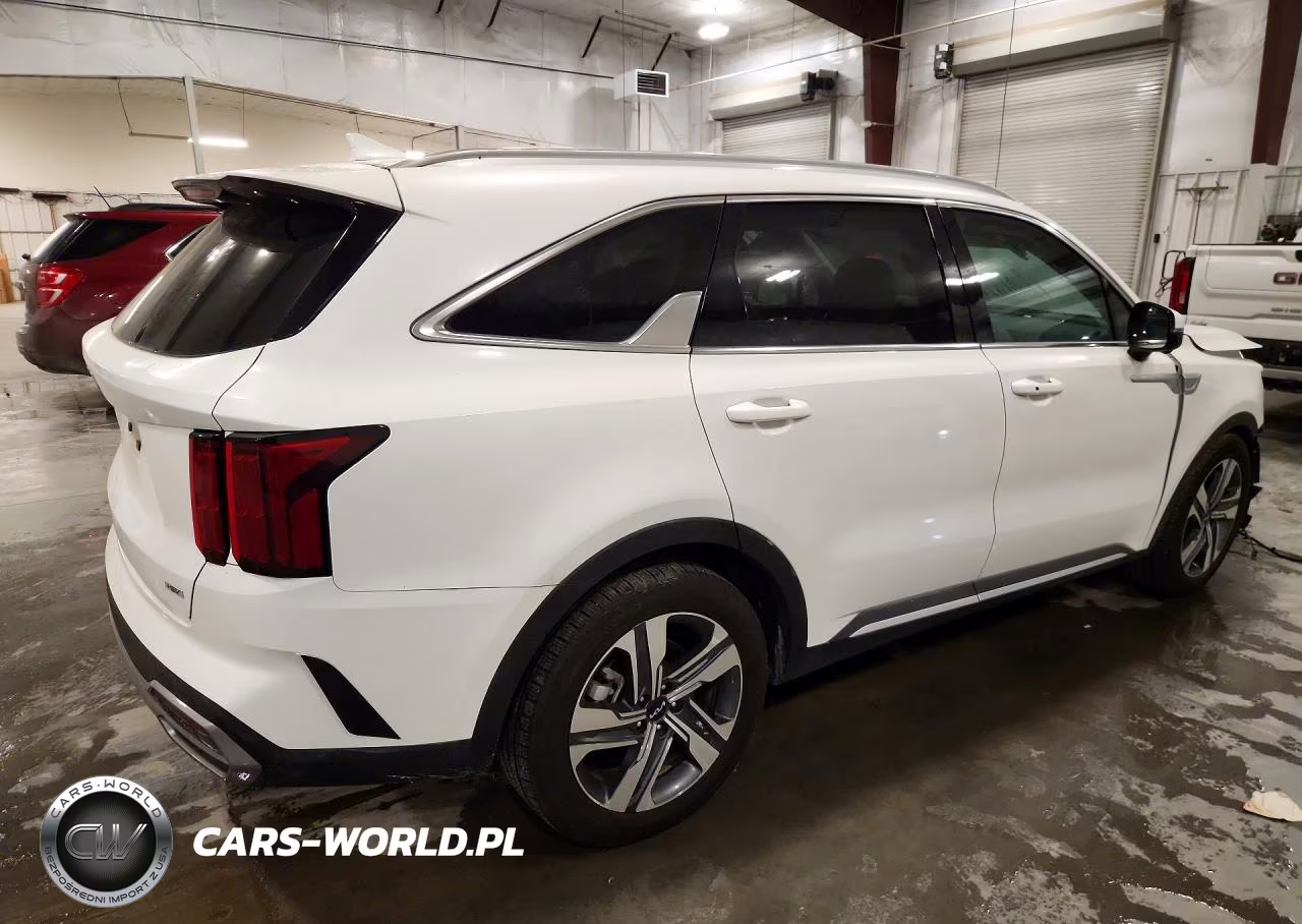 2023 Kia Sorento Sxp VIN:KNDRKDLGXP5206151 - 3
