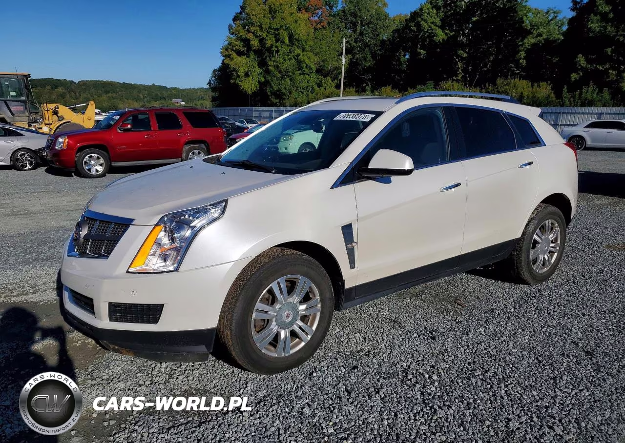 2010 Cadillac Srx Luxury Collection VIN:3GYFNAEY1AS606556 - 1