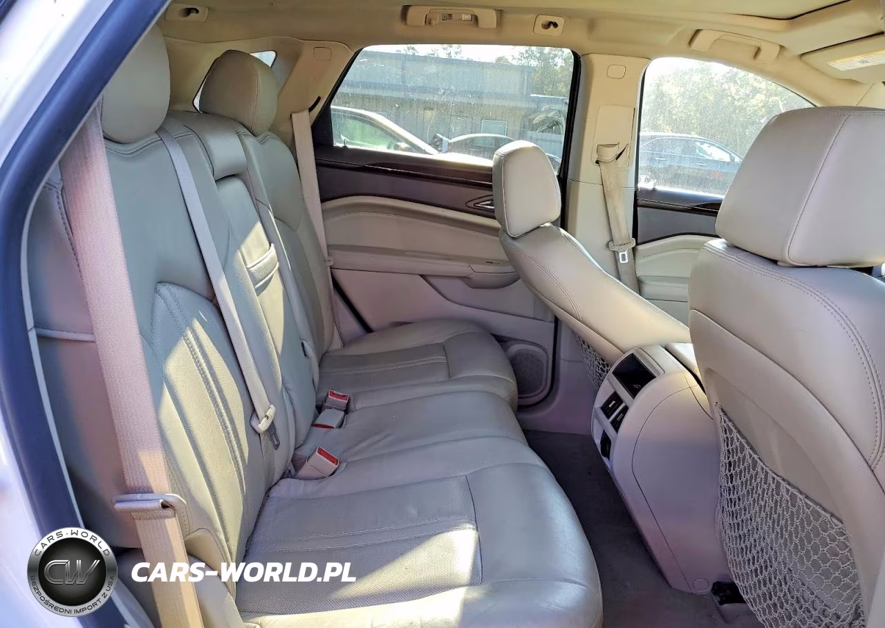 2010 Cadillac Srx Luxury Collection VIN:3GYFNAEY1AS606556 - 11