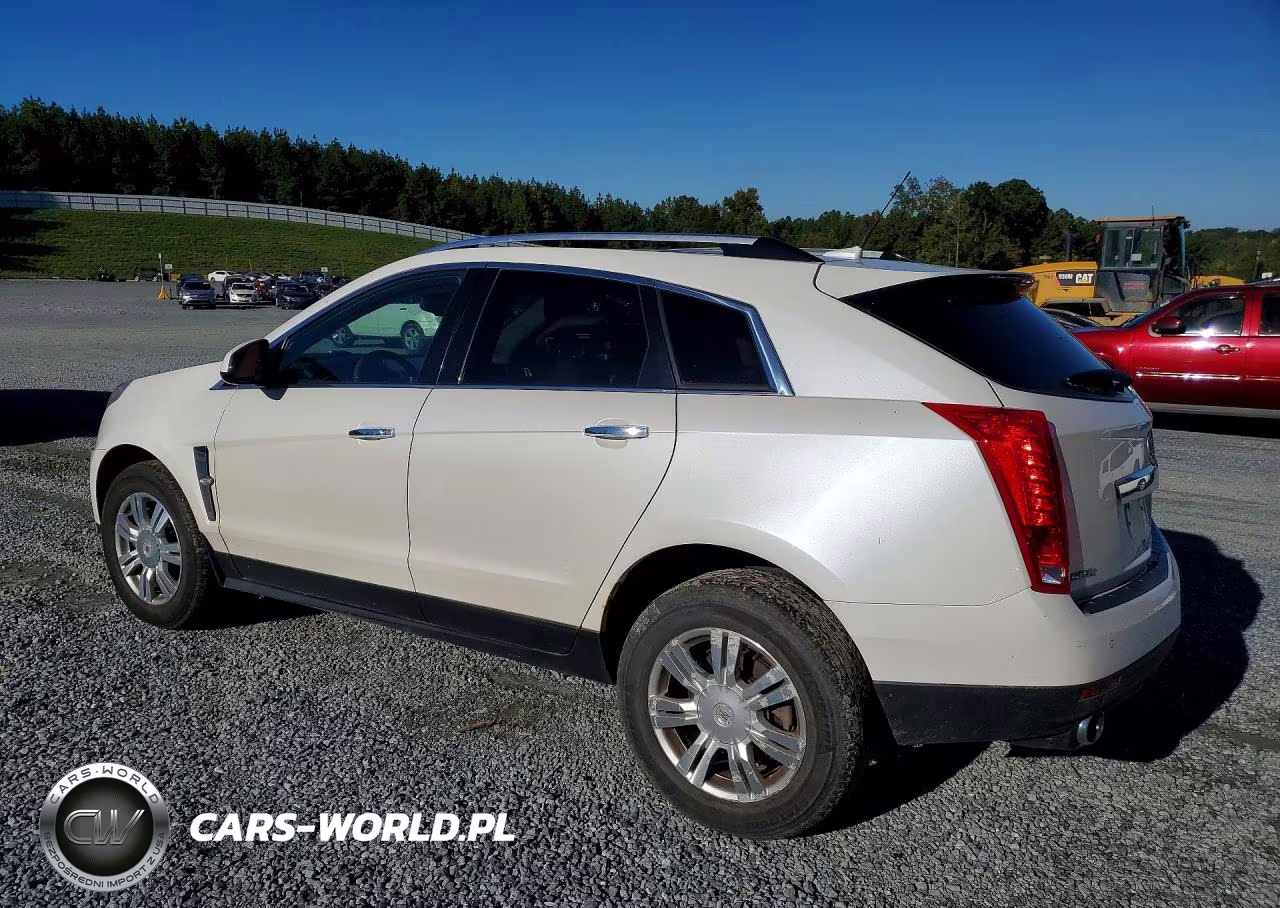 2010 Cadillac Srx Luxury Collection VIN:3GYFNAEY1AS606556 - 2