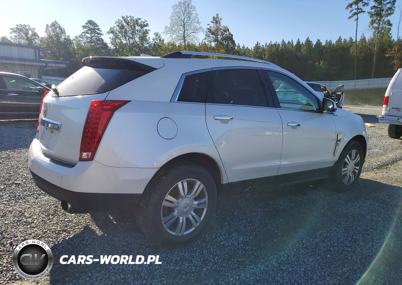 2010 Cadillac Srx Luxury Collection VIN:3GYFNAEY1AS606556 - 3