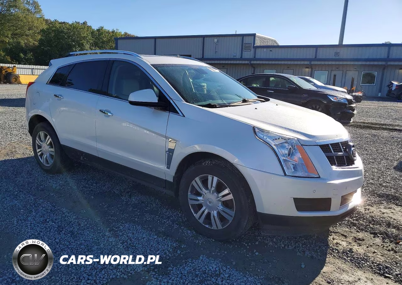 2010 Cadillac Srx Luxury Collection VIN:3GYFNAEY1AS606556 - 4