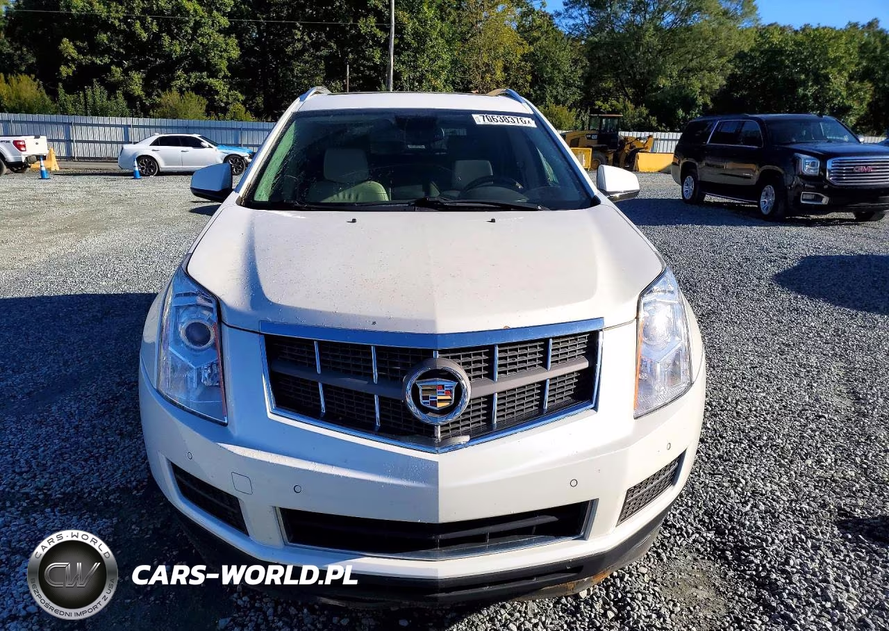 2010 Cadillac Srx Luxury Collection VIN:3GYFNAEY1AS606556 - 5