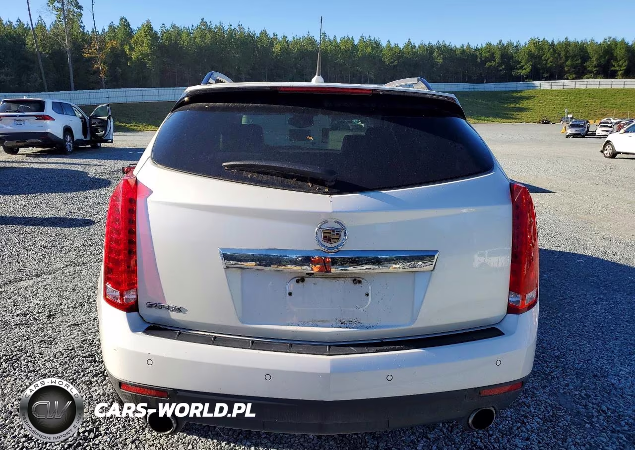2010 Cadillac Srx Luxury Collection VIN:3GYFNAEY1AS606556 - 6