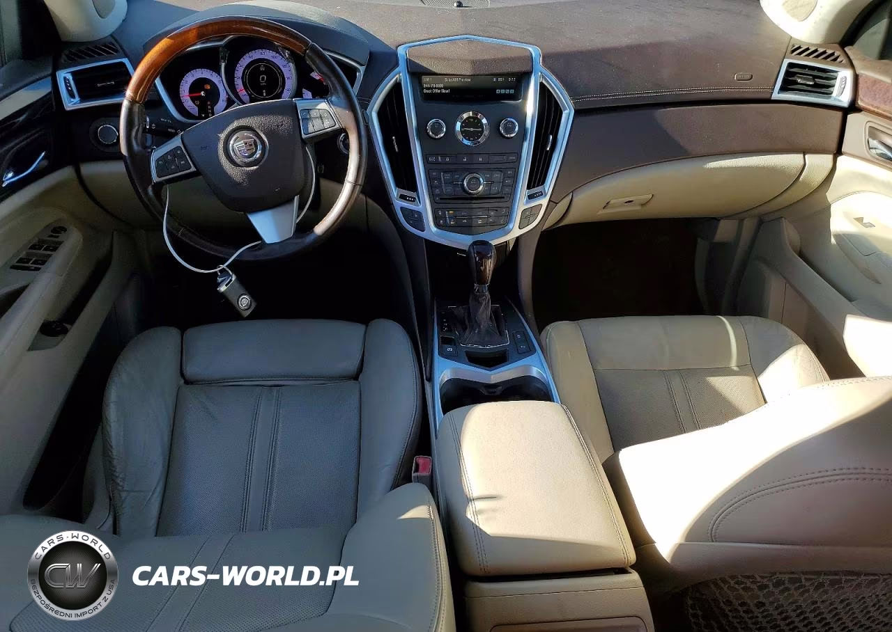 2010 Cadillac Srx Luxury Collection VIN:3GYFNAEY1AS606556 - 8