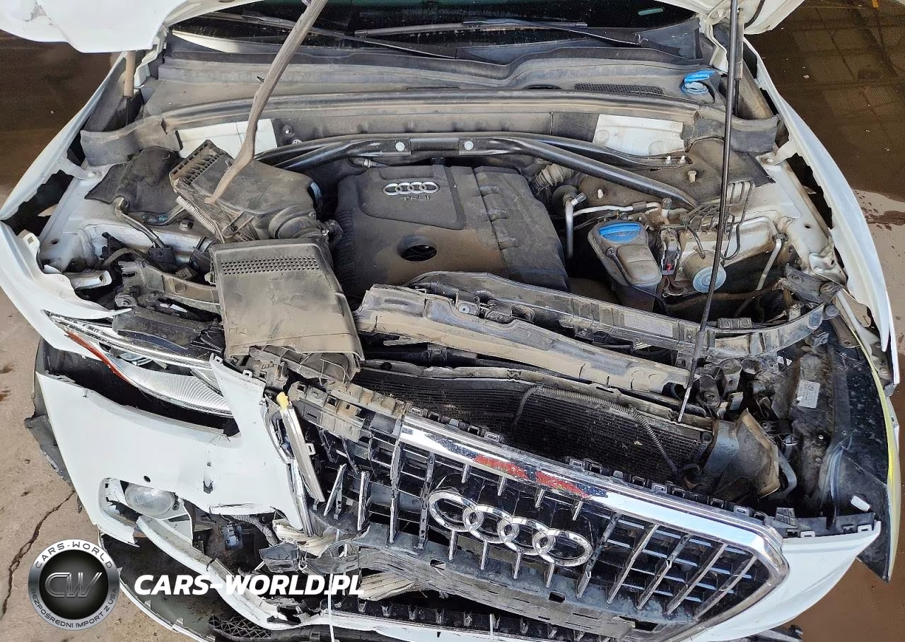 2013 Audi Q5 Premium Plus VIN:WA1LFAFP0DA084370 - 11