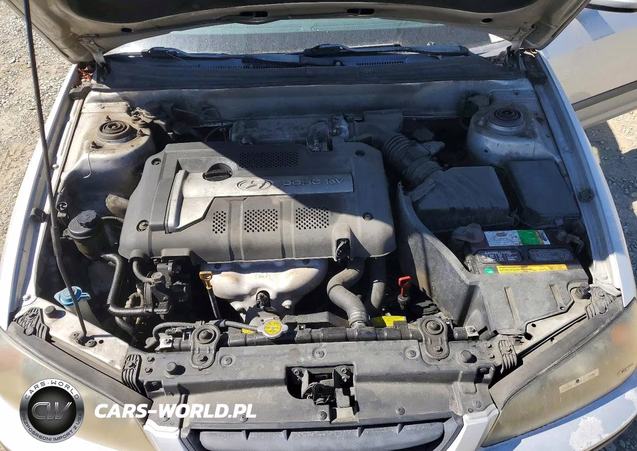 2004 Hyundai Elantra Gls VIN:KMHDN46D04U918670 - 11
