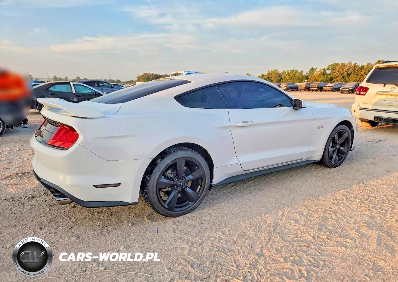 2018 Ford Mustang Gt VIN:1FA6P8CF1J5162900 - 3