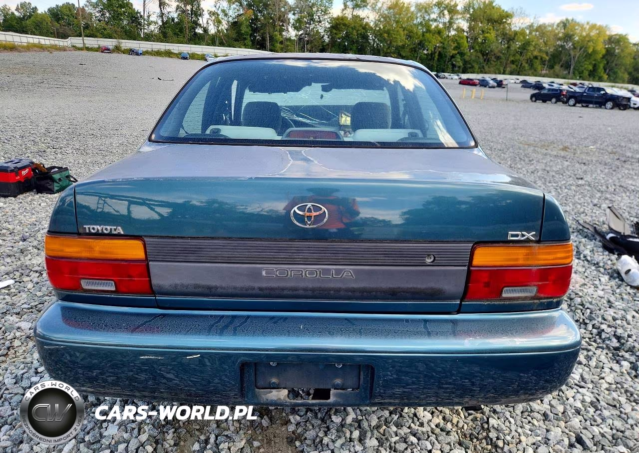 1995 Toyota Corolla Dx VIN:2T1AE09B3SC116912 - 6