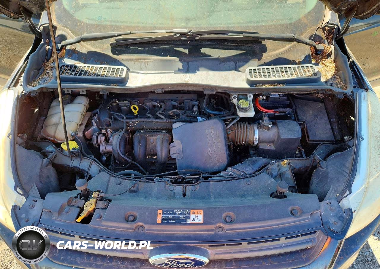 2015 Ford Escape S VIN:1FMCU0F77FUB62954 - 12
