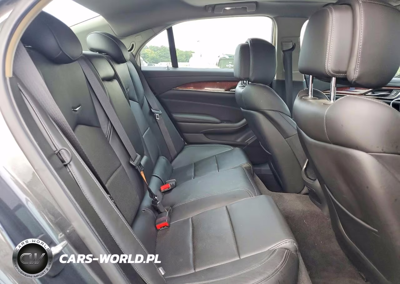 2014 Cadillac Cts Luxury Collection VIN:1G6AX5S3XE0186256 - 10
