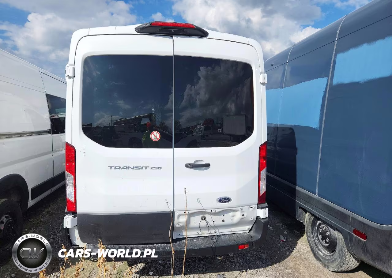2023 Ford Transit 250 Delivery Van VIN:1FTBR1C88PKA60676 - 6
