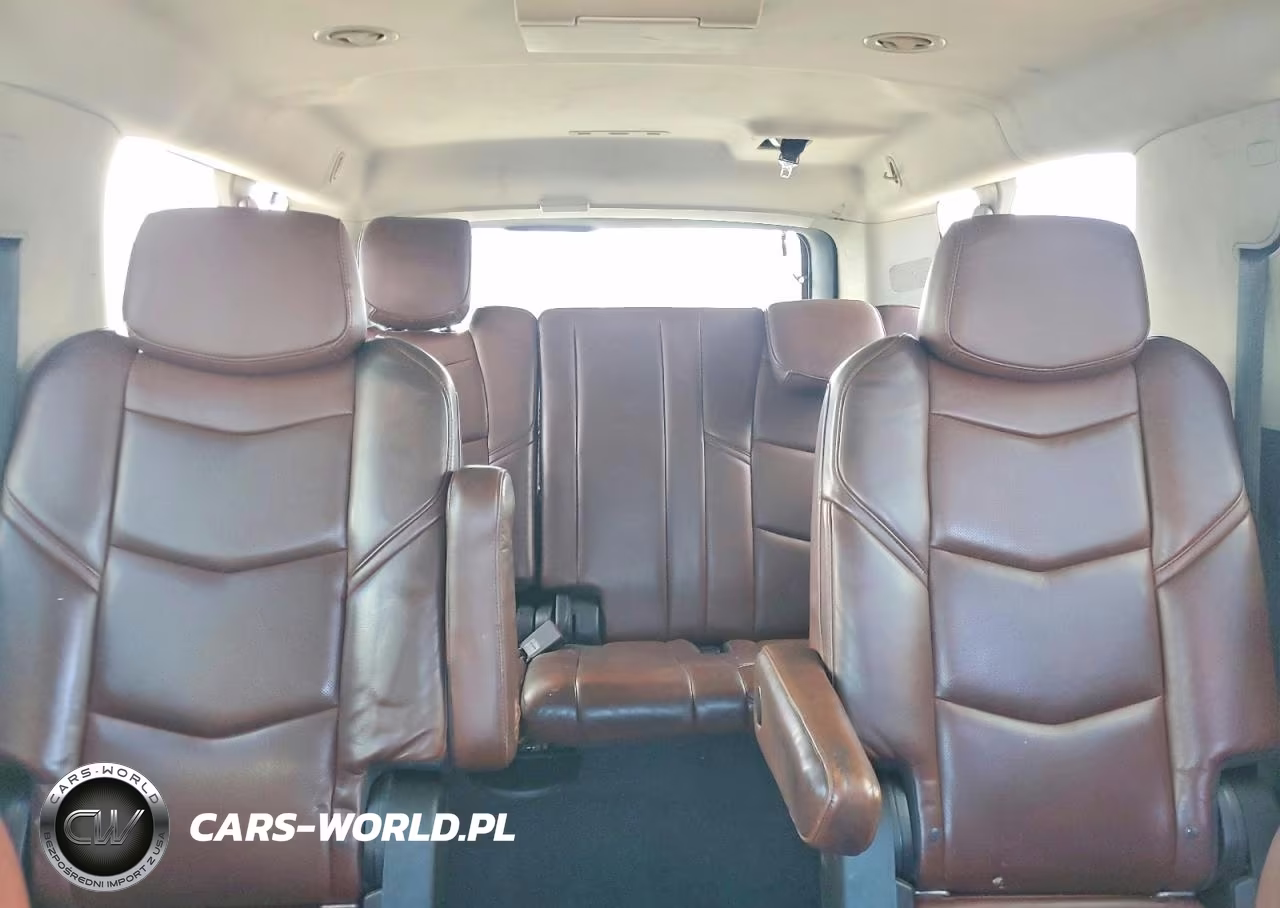 2020 Cadillac Escalade Esv Luxury VIN:1GYS4HKJ1LR193643 - 10