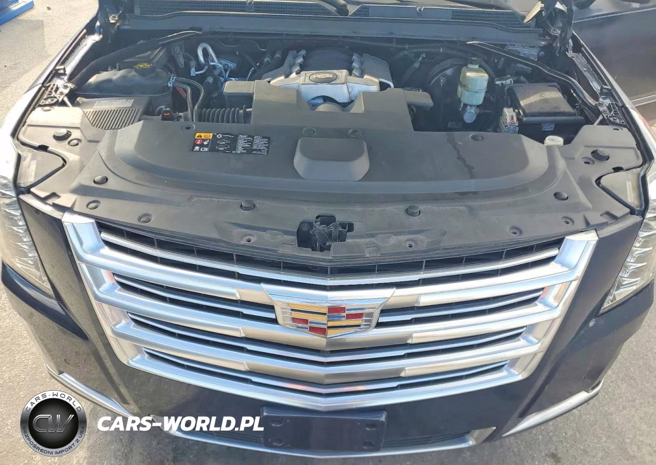 2020 Cadillac Escalade Esv Luxury VIN:1GYS4HKJ1LR193643 - 12