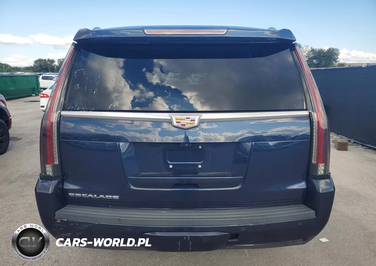 2020 Cadillac Escalade Esv Luxury VIN:1GYS4HKJ1LR193643 - 6