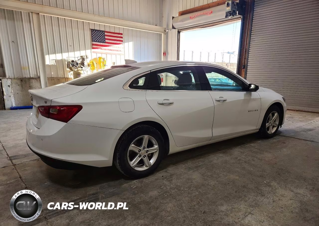 2023 Chevrolet Malibu Lt VIN:1G1ZD5ST9PF175380 - 3