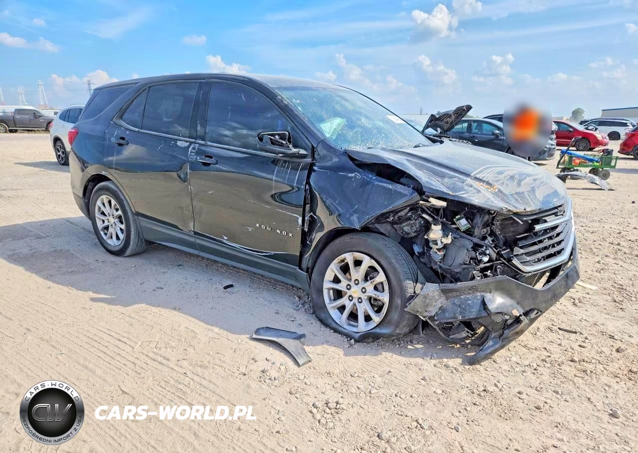 2019 Chevrolet Equinox Ls VIN:2GNAXHEV8K6240899 - 4