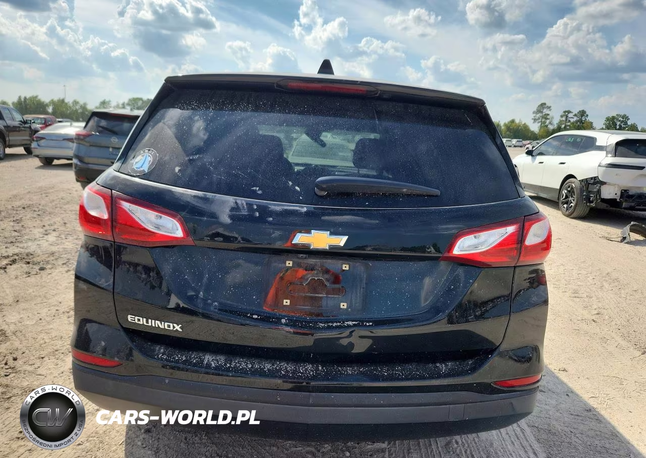 2019 Chevrolet Equinox Ls VIN:2GNAXHEV8K6240899 - 6