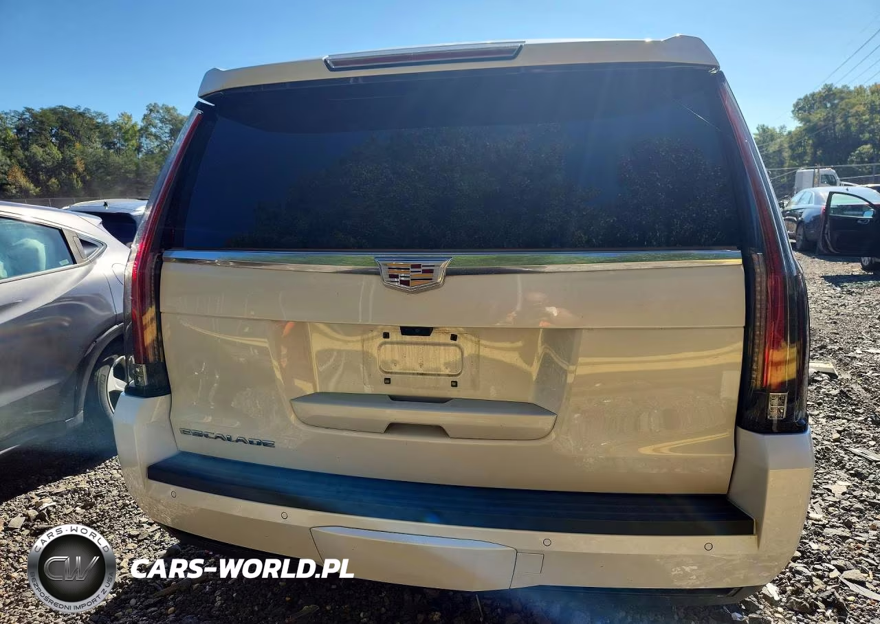 2018 Cadillac Escalade Luxury VIN:1GYS4BKJ5JR384945 - 6