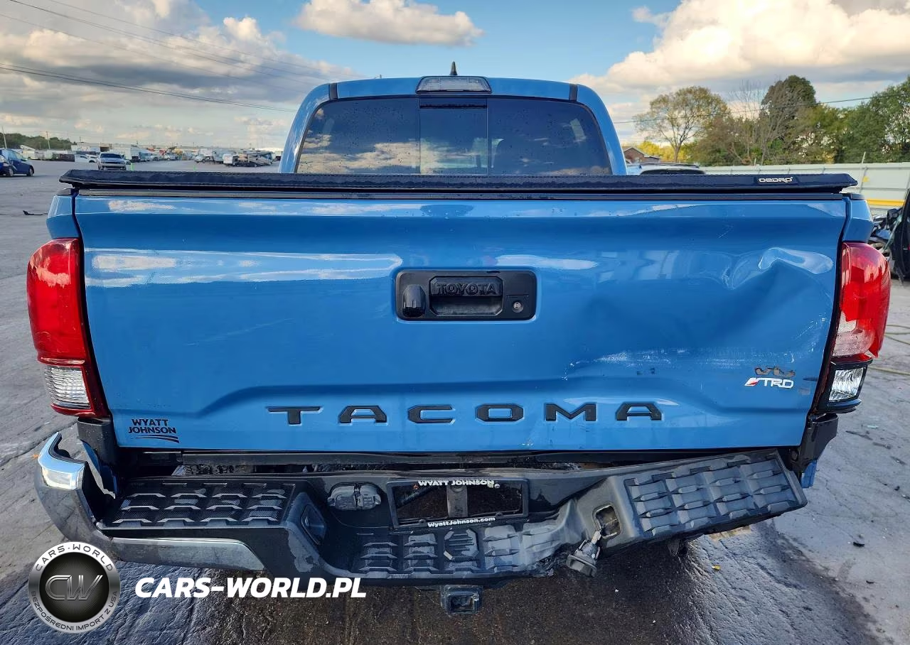 2019 Toyota Tacoma Trd Off-Road VIN:5TFCZ5AN1KX189648 - 6