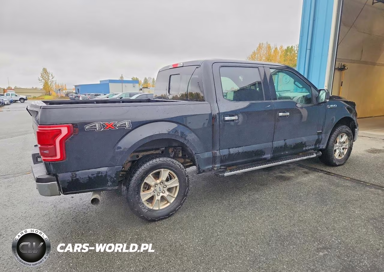 2016 Ford F150 Supercrew VIN:1FTEW1EG9GFD56664 - 3