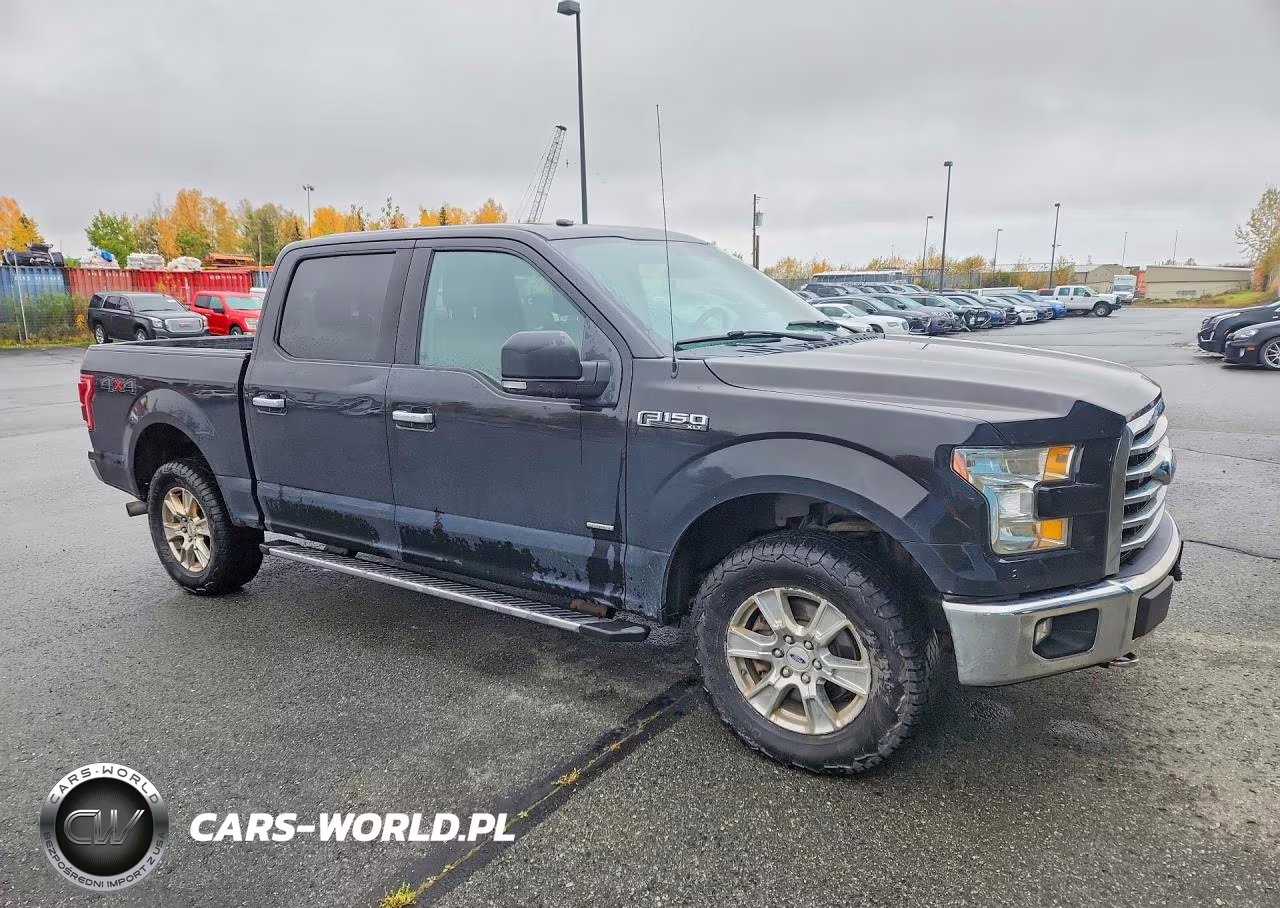 2016 Ford F150 Supercrew VIN:1FTEW1EG9GFD56664 - 4