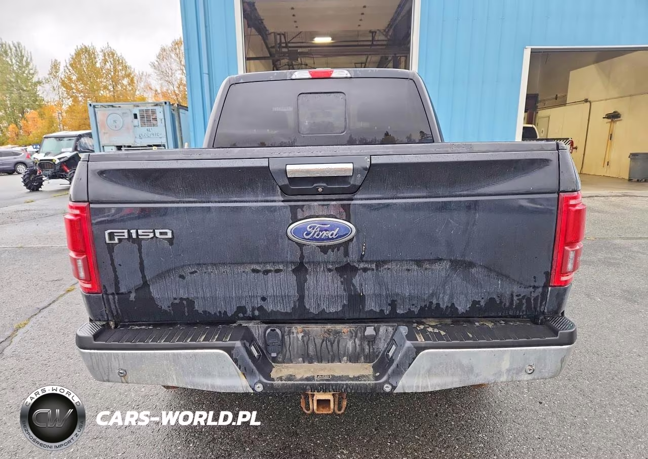 2016 Ford F150 Supercrew VIN:1FTEW1EG9GFD56664 - 6