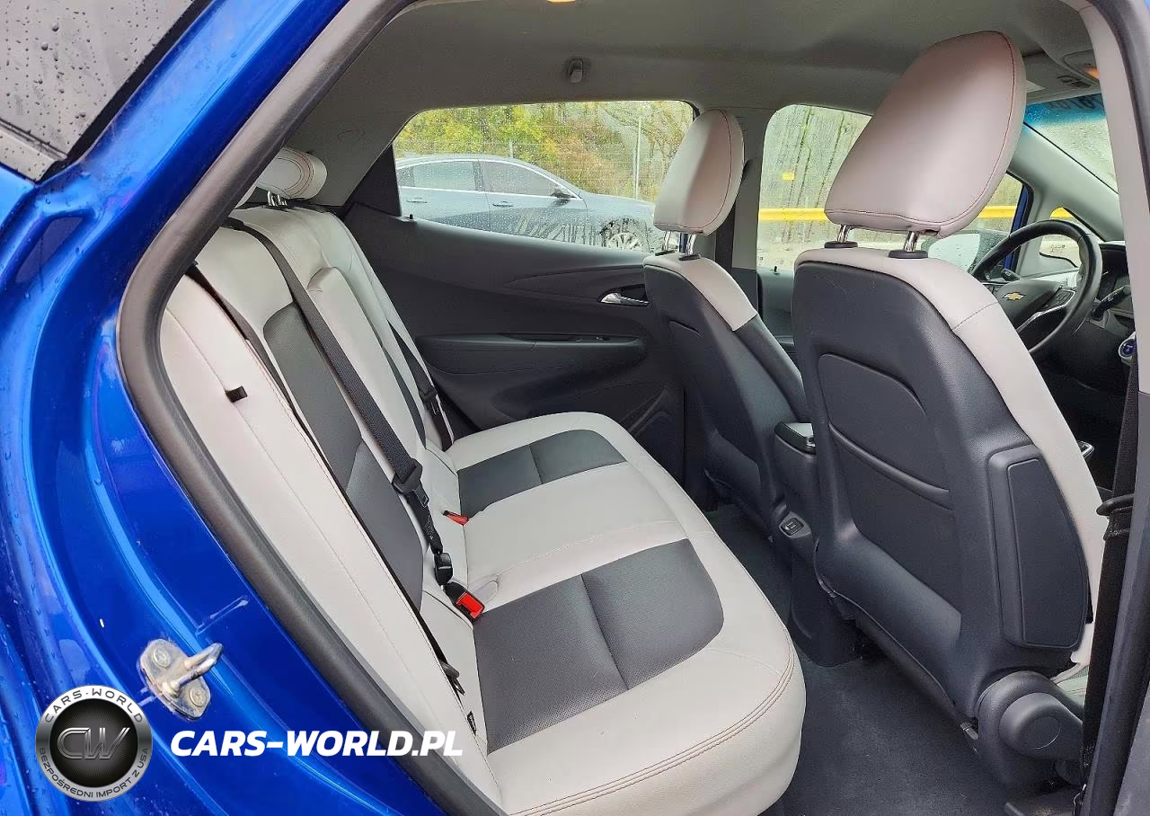 2019 Chevrolet Bolt Ev Premier VIN:1G1FZ6S08K4103025 - 10