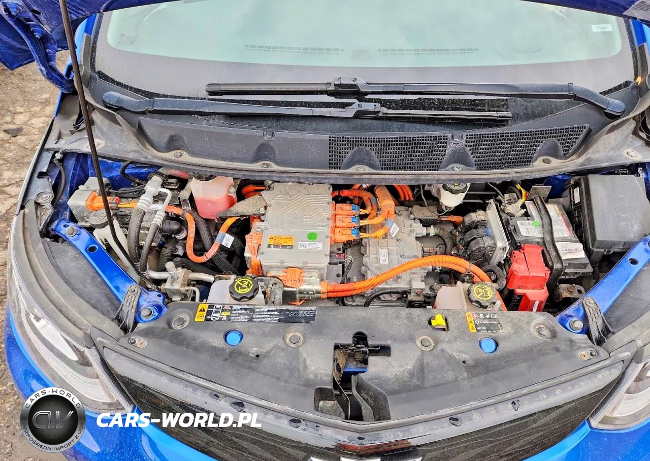 2019 Chevrolet Bolt Ev Premier VIN:1G1FZ6S08K4103025 - 11
