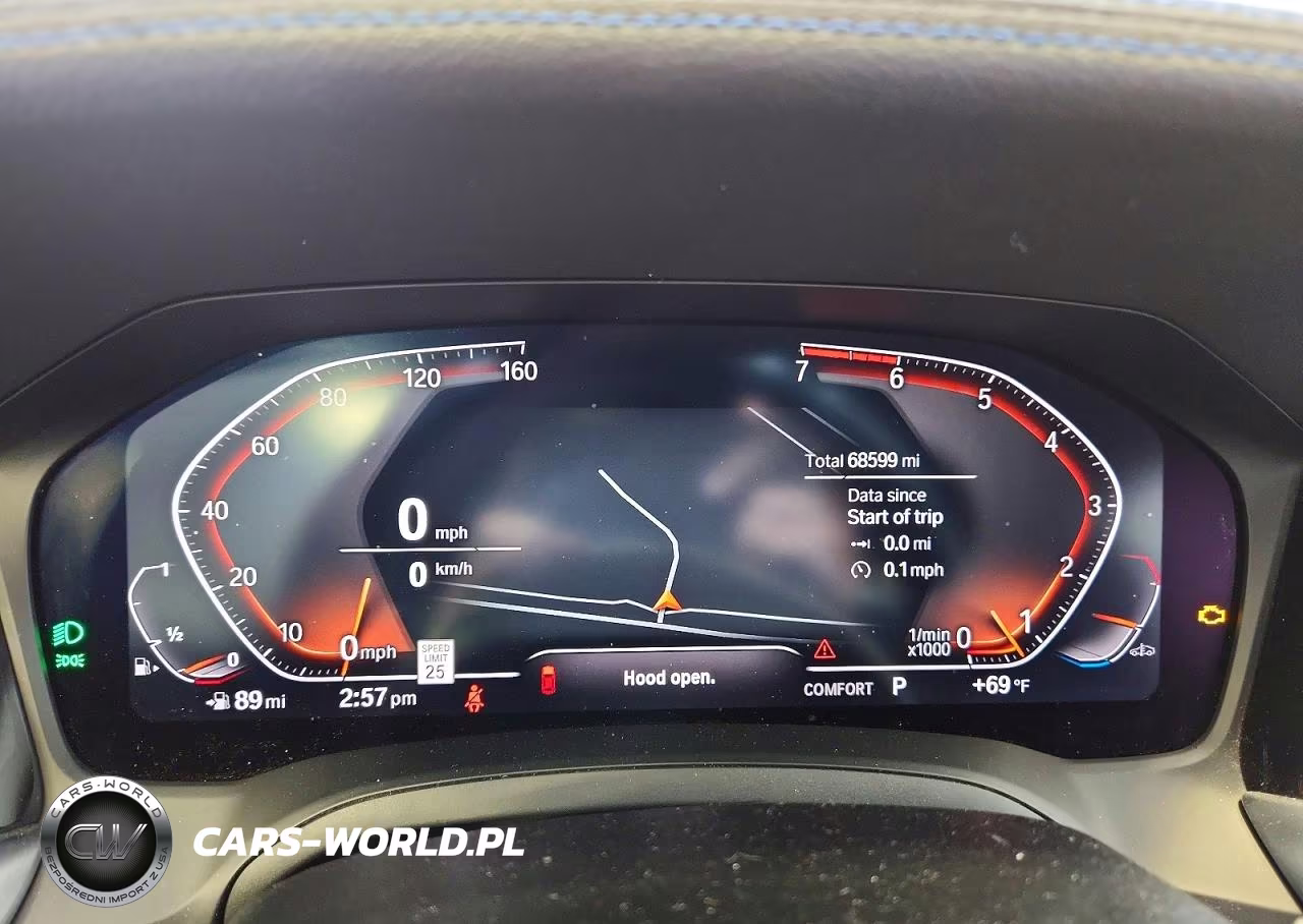 2019 BMW 330I VIN:WBA5R1C55KAK11486 - 9