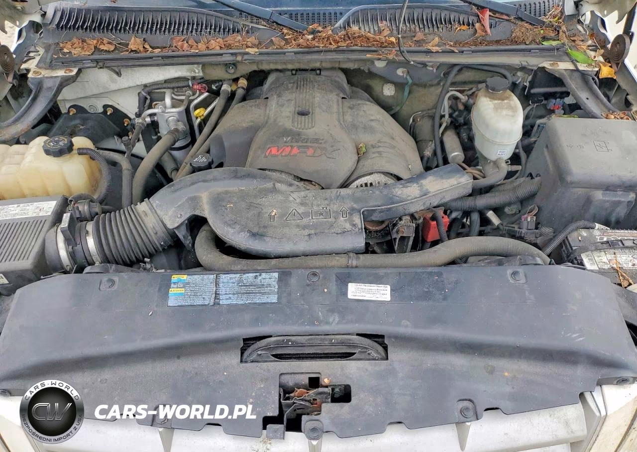 2006 Cadillac Escalade Esv VIN:3GYFK66N46G126368 - 12