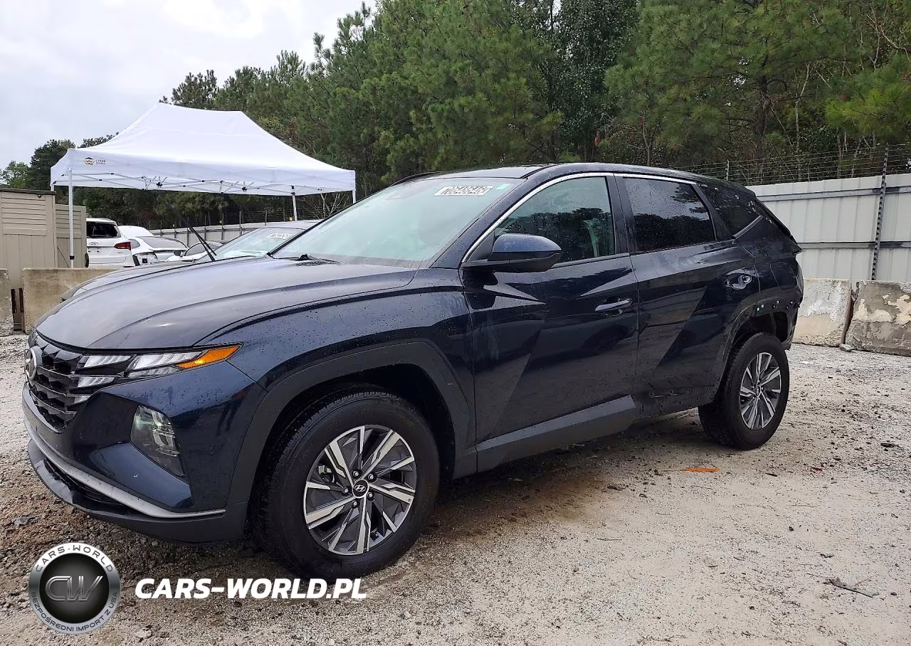2024 Hyundai Tucson Blue VIN:KM8JBCD1XRU191205 - 1