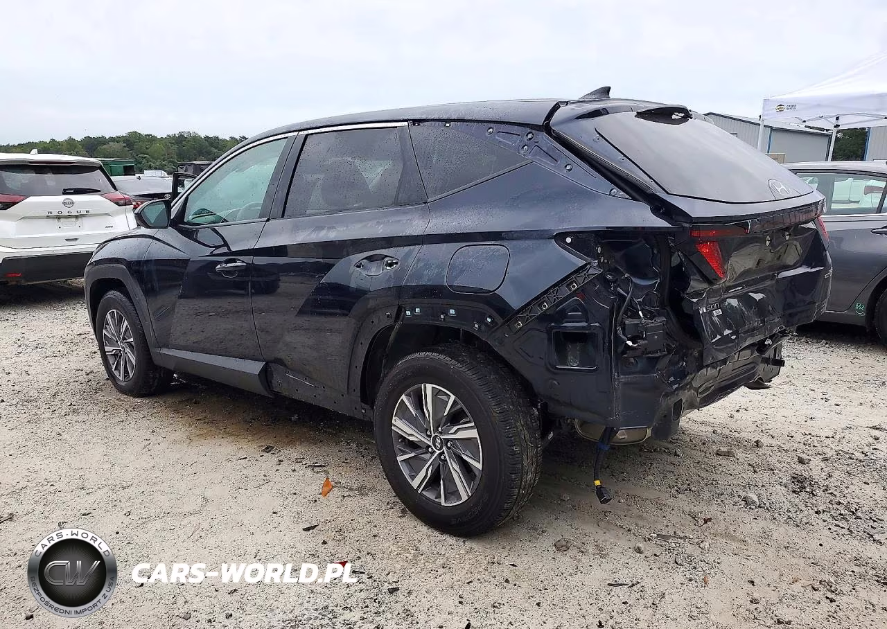 2024 Hyundai Tucson Blue VIN:KM8JBCD1XRU191205 - 2