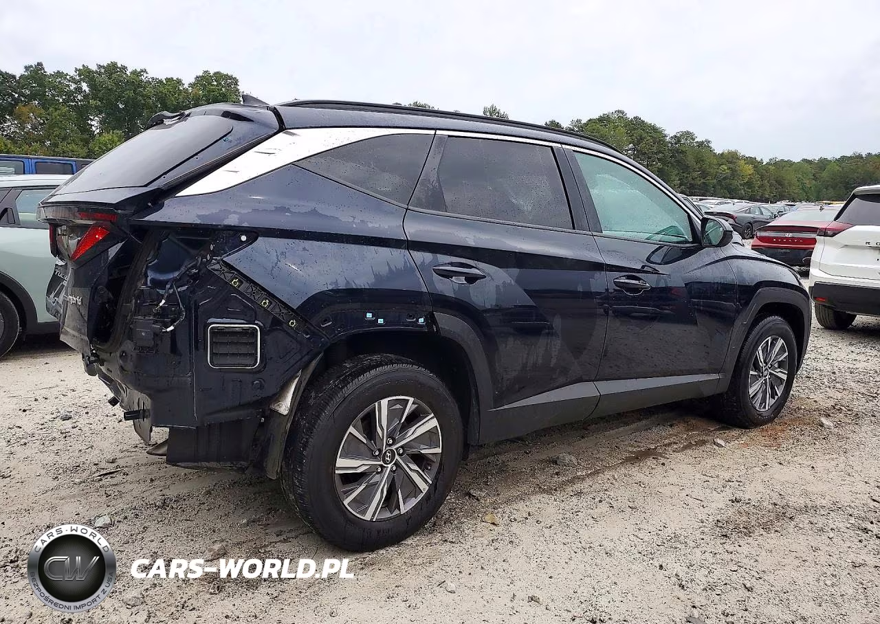 2024 Hyundai Tucson Blue VIN:KM8JBCD1XRU191205 - 3