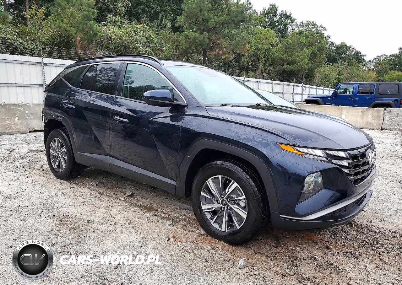 2024 Hyundai Tucson Blue VIN:KM8JBCD1XRU191205 - 4