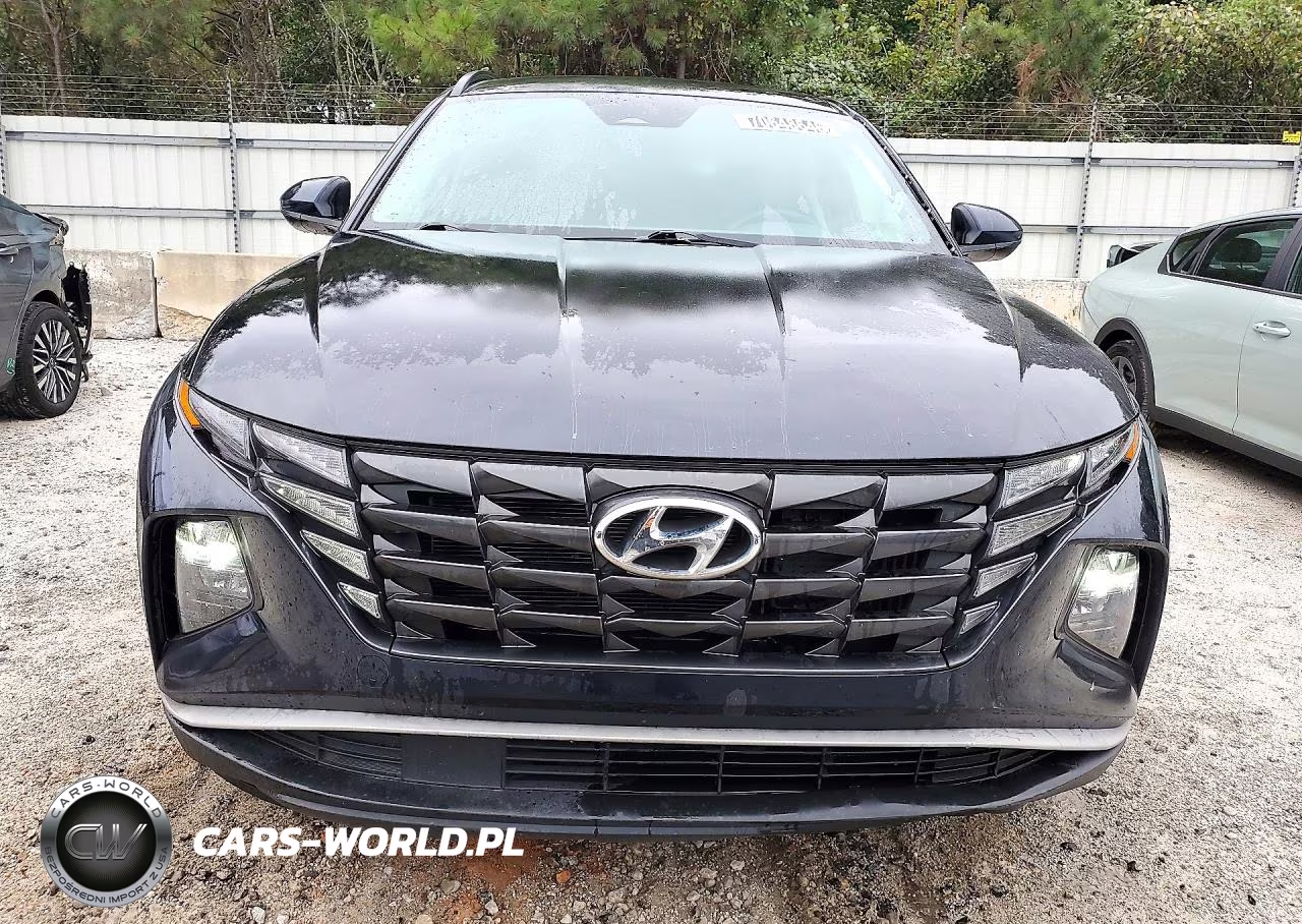 2024 Hyundai Tucson Blue VIN:KM8JBCD1XRU191205 - 5