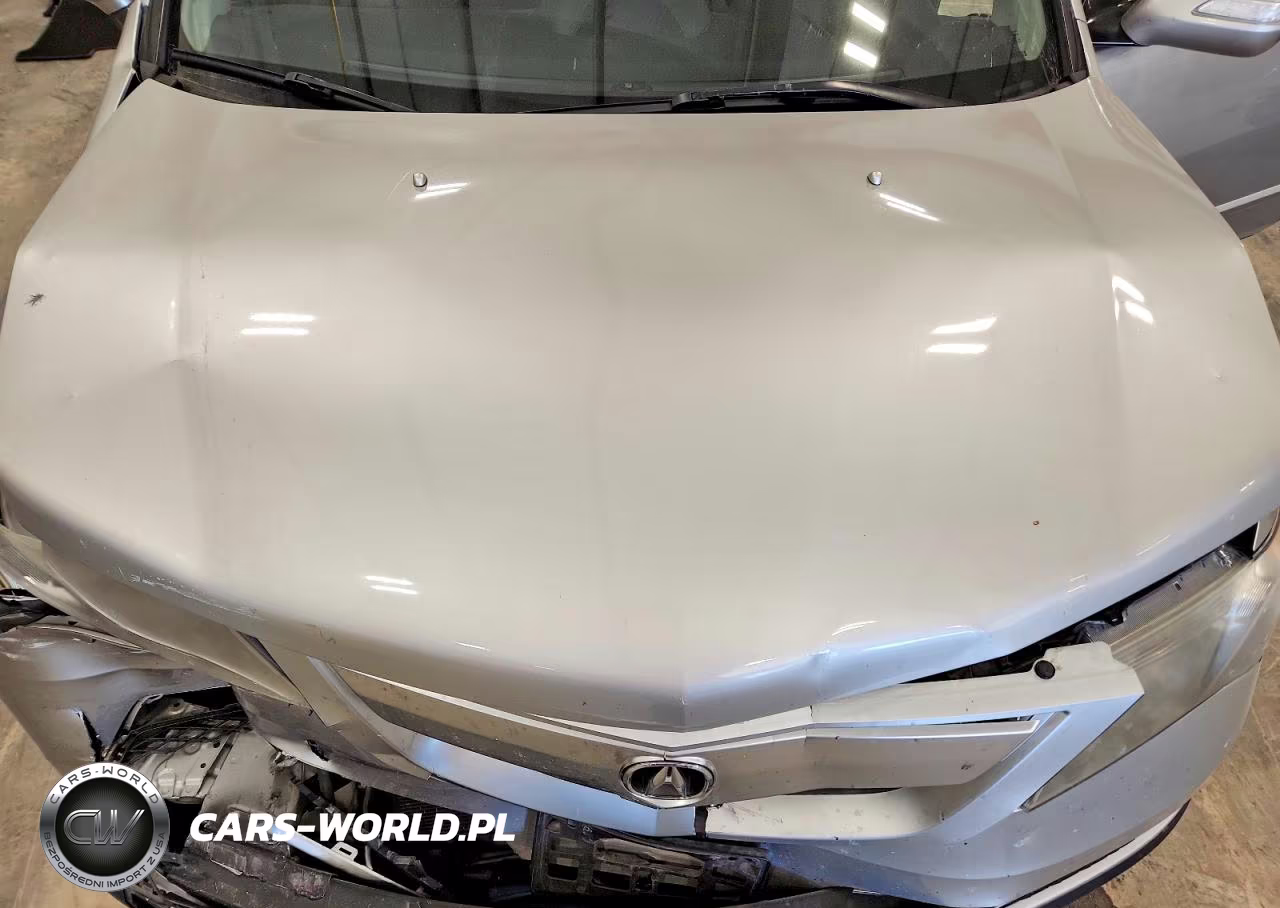 2010 Acura Mdx Advance VIN:2HNYD2H5XAH517316 - 12
