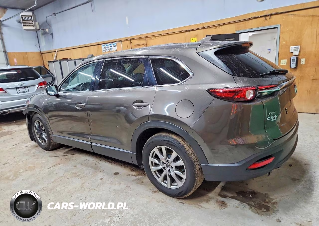 2017 Mazda Cx-9 Touring VIN:JM3TCBCYXH0141923 - 2