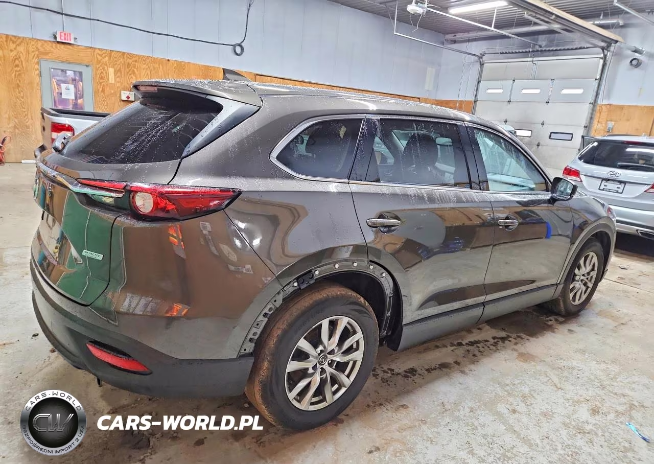 2017 Mazda Cx-9 Touring VIN:JM3TCBCYXH0141923 - 3