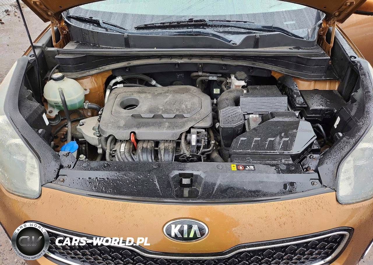 2018 Kia Sportage Lx VIN:KNDPMCAC2J7385986 - 12